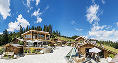 La Maison des bois